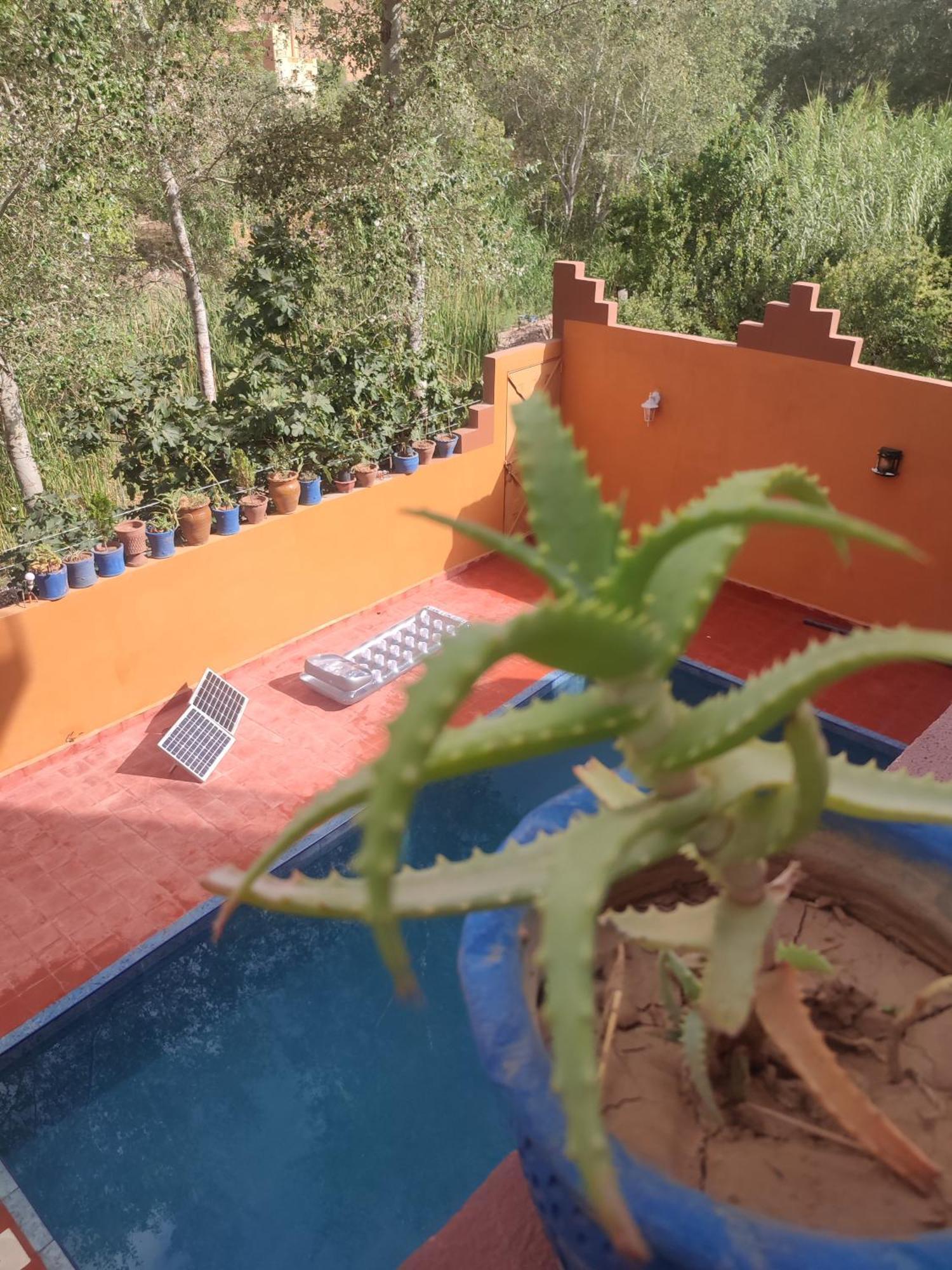 Boumalne Auberge De La Riviere Du Dades מראה חיצוני תמונה